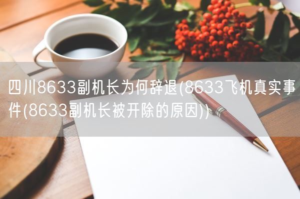 四川8633副机长为何辞退(8633飞机真实事件(8633副机长被开除的原因))(图1)