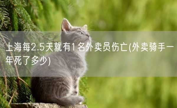 上海每2.5天就有1名外卖员伤亡(外卖骑手一年死了多少)(图1)