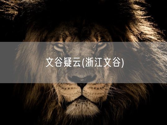 文谷疑云(浙江文谷)(图1)