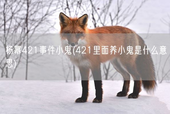 杨幂421事件小鬼(421里面养小鬼是什么意思)(图1)