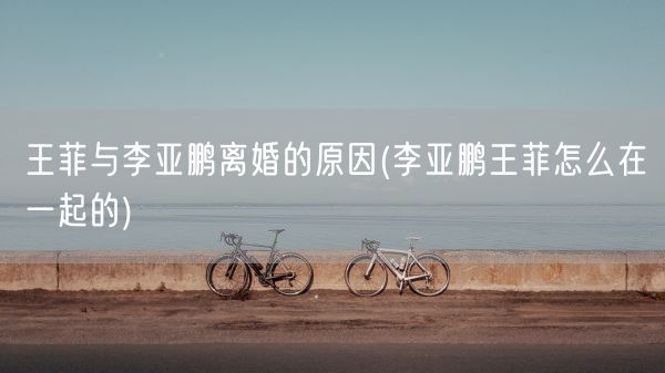 王菲与李亚鹏离婚的原因(李亚鹏王菲怎么在一起的)(图1)