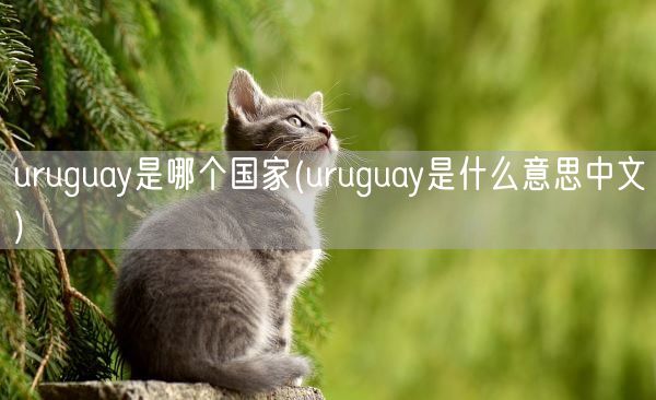uruguay是哪个国家(uruguay是什么意思中文)(图1)