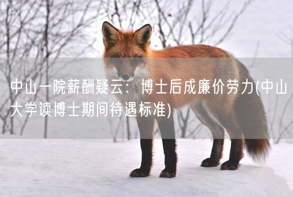 中山一院薪酬疑云：博士后成廉价劳力(中山大学读博士期间待遇标准)(图1)