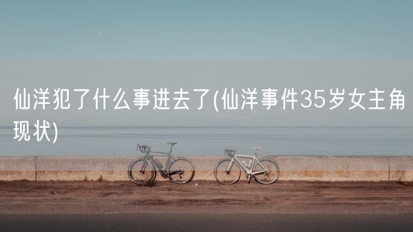 仙洋犯了什么事进去了(仙洋事件35岁女主角现状)(图1)