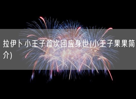 拉伊卜小王子首次回应身世(小王子果果简介)(图1)