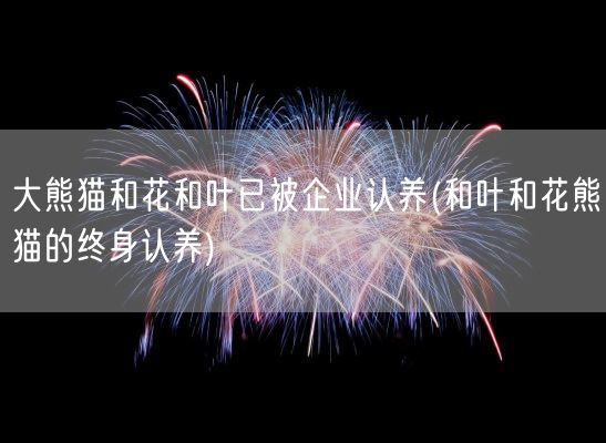 大熊猫和花和叶已被企业认养(和叶和花熊猫的终身认养)(图1)