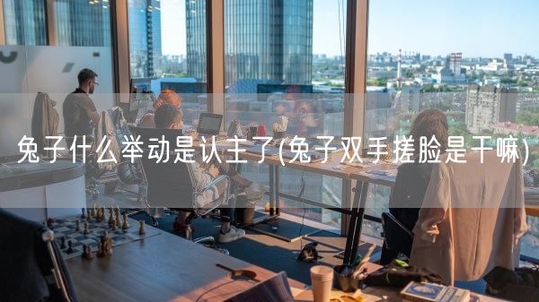 兔子什么举动是认主了(兔子双手搓脸是干嘛)(图1)