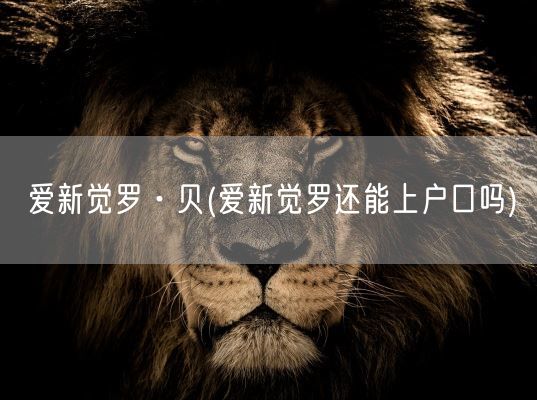 爱新觉罗·贝(爱新觉罗还能上户口吗)(图1)