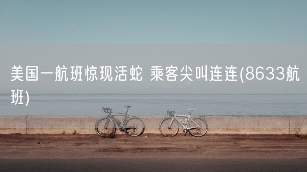 美国一航班惊现活蛇 乘客尖叫连连(8633航班)(图1)