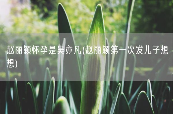 赵丽颖怀孕是吴亦凡(赵丽颖第一次发儿子想想)(图1)