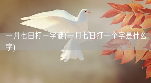 一月七日打一字谜(一月七日打一个字是什么字)(图1)