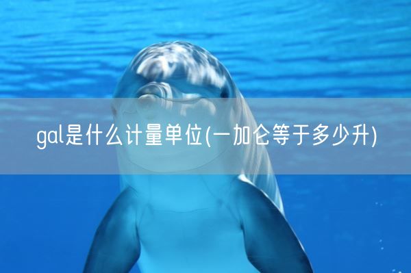 gal是什么计量单位(一加仑等于多少升)(图1)