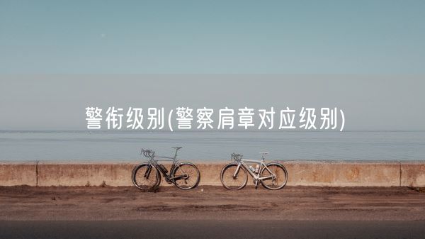 警衔级别(警察肩章对应级别)(图1)