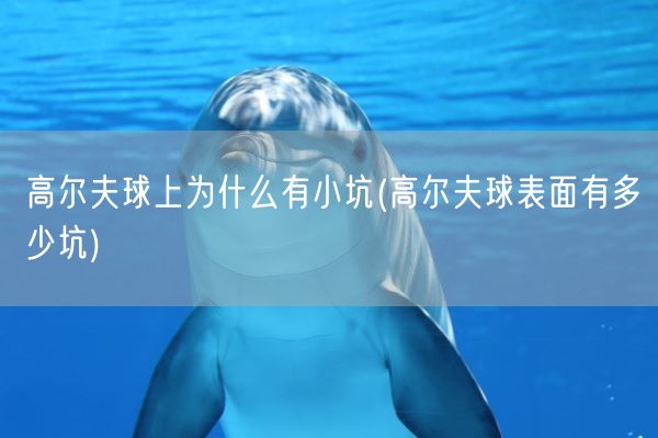 高尔夫球上为什么有小坑(高尔夫球表面有多少坑)(图1)