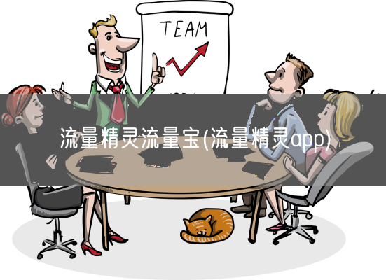 流量精灵流量宝(流量精灵app)(图1)