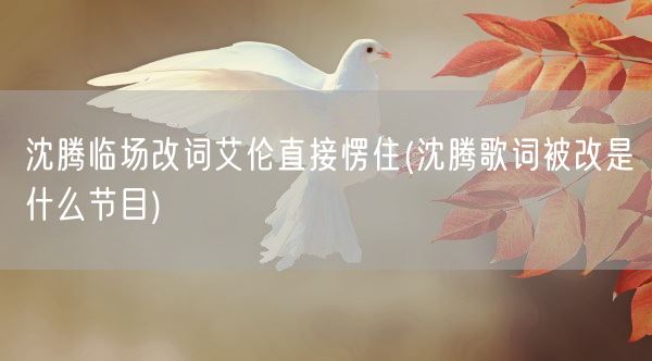 沈腾临场改词艾伦直接愣住(沈腾歌词被改是什么节目)(图1)