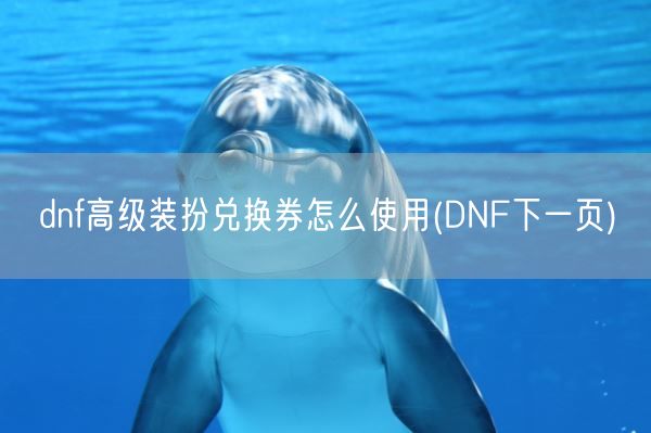 dnf高级装扮兑换券怎么使用(DNF下一页)(图1)