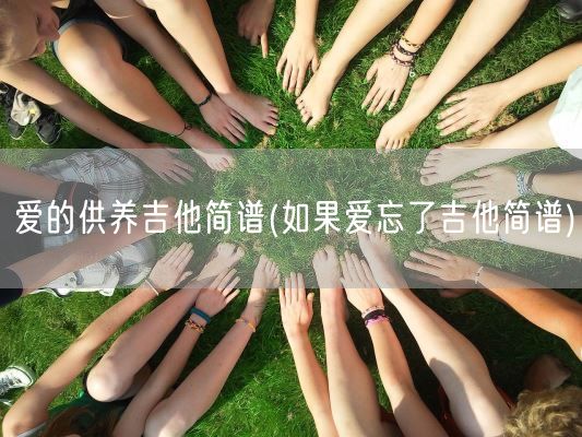 爱的供养吉他简谱(如果爱忘了吉他简谱)(图1)