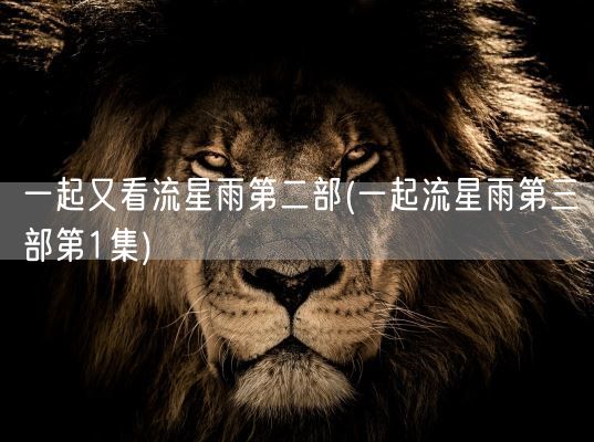 一起又看流星雨第二部(一起流星雨第三部第1集)(图1)