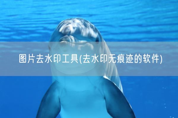 图片去水印工具(去水印无痕迹的软件)(图1)