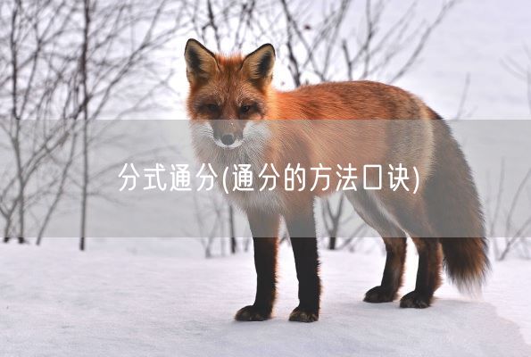分式通分(通分的方法口诀)(图1) 分式通分(通分的方法口诀)(图1)