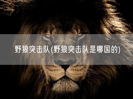 野狼突击队(野狼突击队是哪国的)(图1)