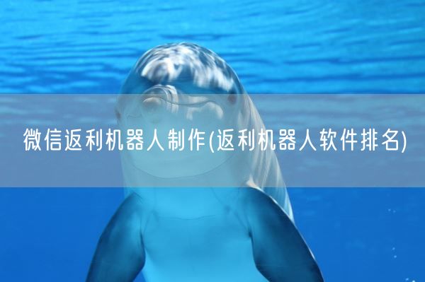 微信返利机器人制作(返利机器人软件排名)(图1)