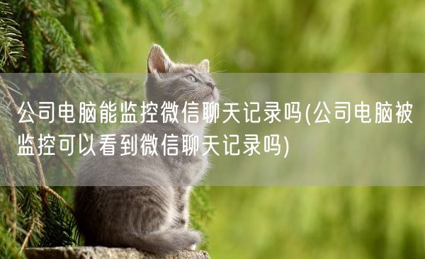 公司电脑能监控微信聊天记录吗(公司电脑被监控可以看到微信聊天记录吗)(图1)