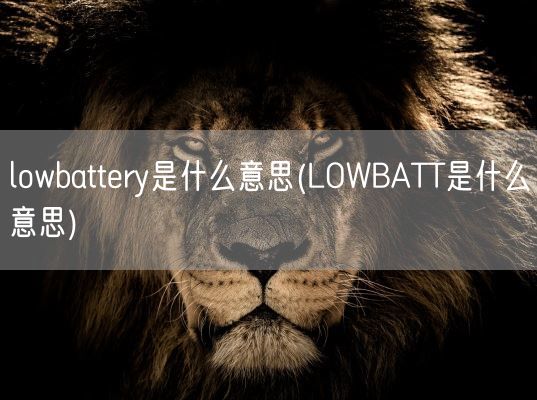 lowbattery是什么意思(LOWBATT是什么意思)(图1)