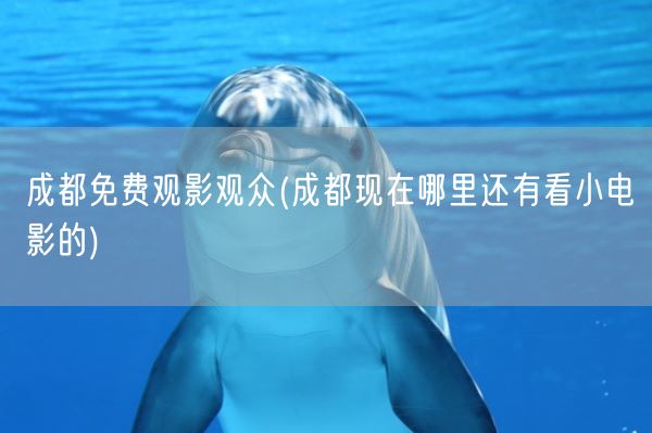 成都免费观影观众(成都现在哪里还有看小电影的)(图1)
