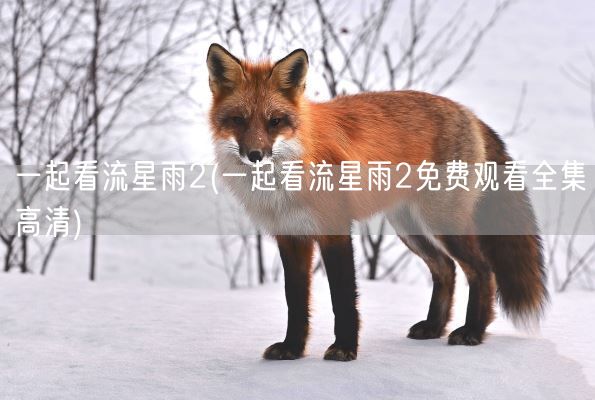 一起看流星雨2(一起看流星雨2免费观看全集高清)(图1)