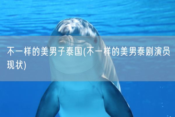 不一样的美男子泰国(不一样的美男泰剧演员现状)(图1)