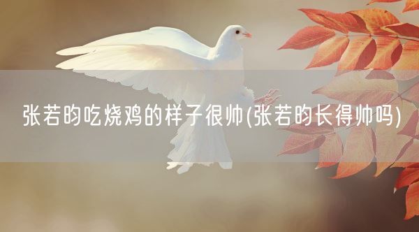 张若昀吃烧鸡的样子很帅(张若昀长得帅吗)(图1)