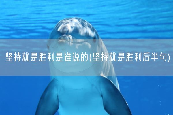 坚持就是胜利是谁说的(坚持就是胜利后半句)(图1) 坚持就是胜利是谁说的(坚持就是胜利后半句)(图1)