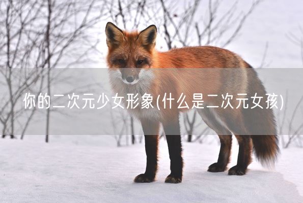 你的二次元少女形象(什么是二次元女孩)(图1)