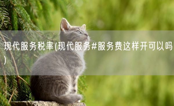 现代服务税率(现代服务#服务费这样开可以吗)(图1)