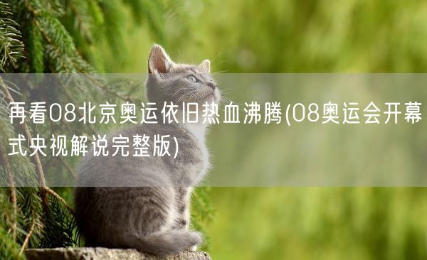 再看08北京奥运依旧热血沸腾(08奥运会开幕式央视解说完整版)(图1) 再看08北京奥运依旧热血沸腾(08奥运会开幕式央视解说完整版)(图1)