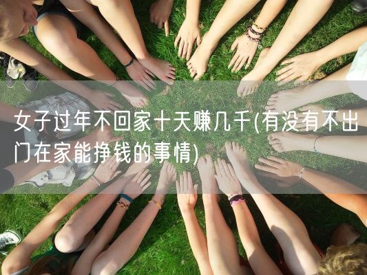 女子过年不回家十天赚几千(有没有不出门在家能挣钱的事情)(图1)