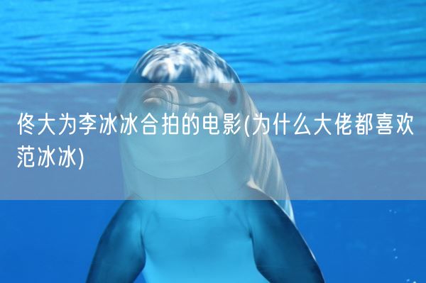 佟大为李冰冰合拍的电影(为什么大佬都喜欢范冰冰)(图1)