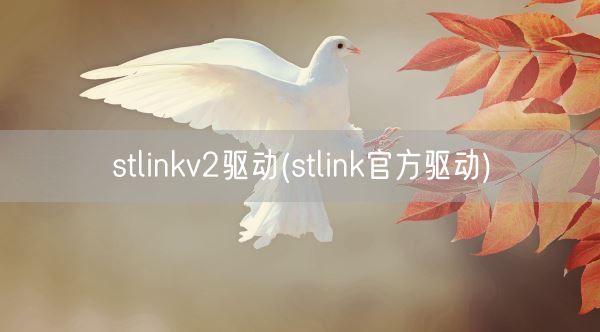 stlinkv2驱动(stlink官方驱动)(图1)