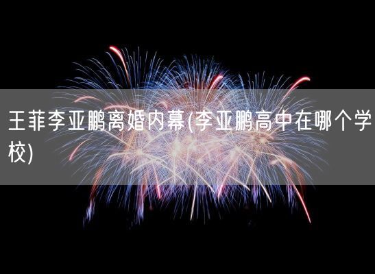 王菲李亚鹏离婚内幕(李亚鹏高中在哪个学校)(图1)