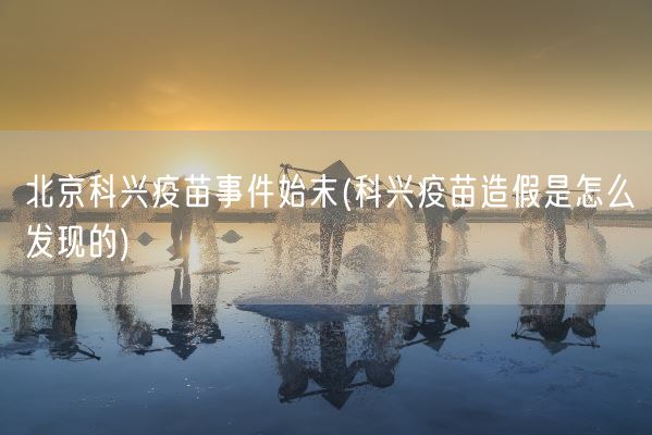 北京科兴疫苗事件始末(科兴疫苗造假是怎么发现的)(图1)