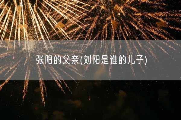 张阳的父亲(刘阳是谁的儿子)(图1)