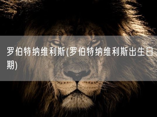 罗伯特纳维利斯(罗伯特纳维利斯出生日期)(图1)