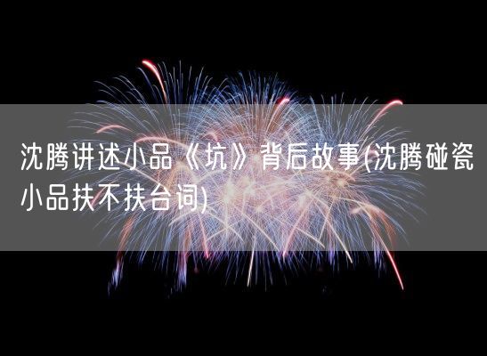 沈腾讲述小品《坑》背后故事(沈腾碰瓷小品扶不扶台词)(图1)