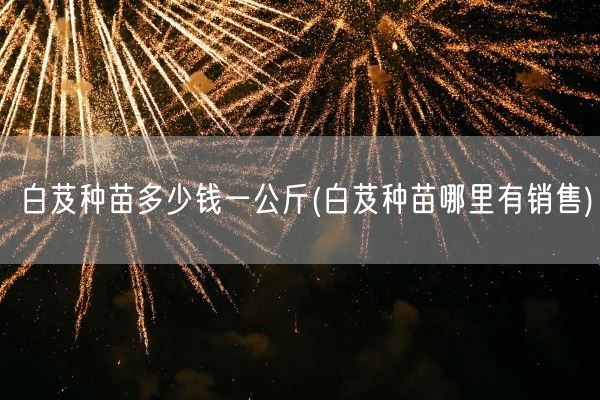 白芨种苗多少钱一公斤(白芨种苗哪里有销售)(图1)