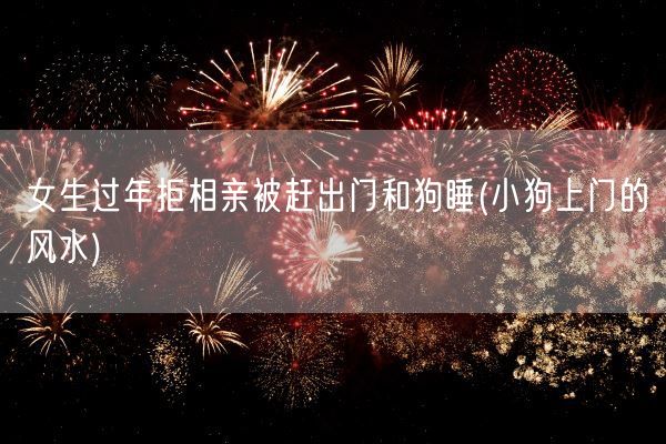 女生过年拒相亲被赶出门和狗睡(小狗上门的风水)(图1)