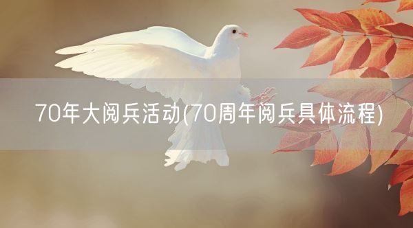 70年大阅兵活动(70周年阅兵具体流程)(图1)