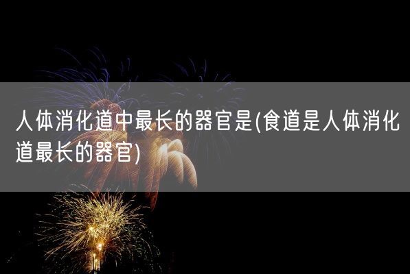 人体消化道中最长的器官是(食道是人体消化道最长的器官)(图1)