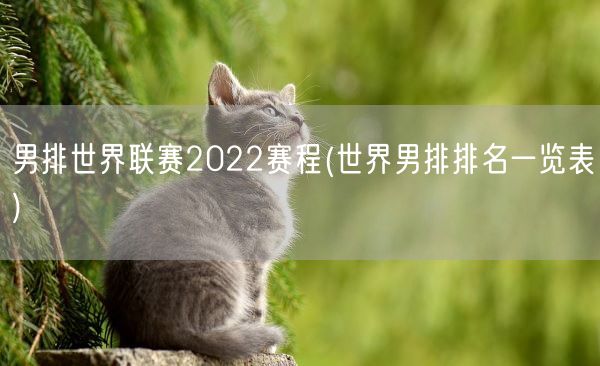 男排世界联赛2022赛程(世界男排排名一览表)(图1)